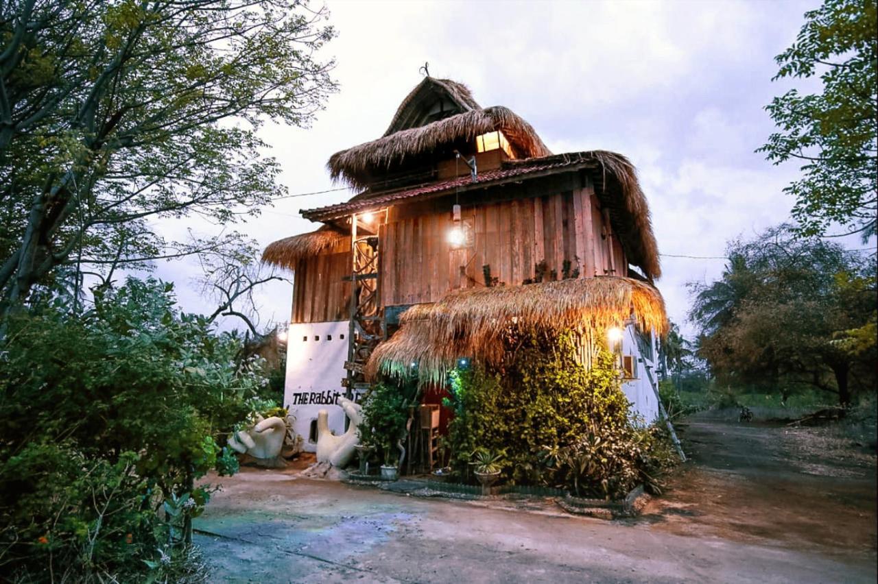The Rabbit Tree Hostel Гили-Мено Экстерьер фото